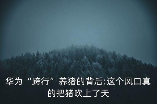 華為“跨行”養(yǎng)豬的背后:這個風口真的把豬吹上了天