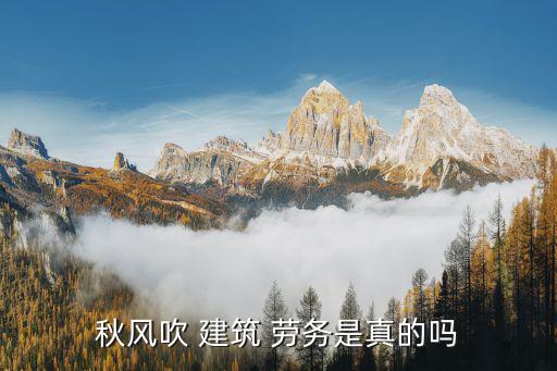 上海東翔建筑勞務有限公司,上海博自建筑勞務有限公司