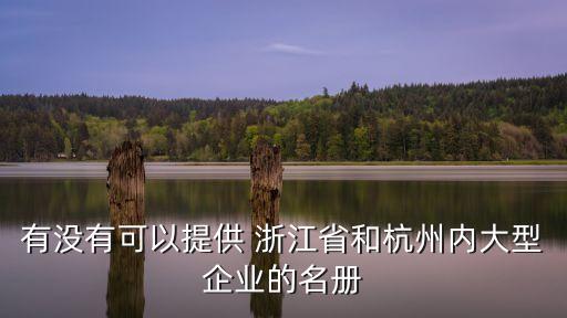 有沒(méi)有可以提供 浙江省和杭州內(nèi)大型企業(yè)的名冊(cè)