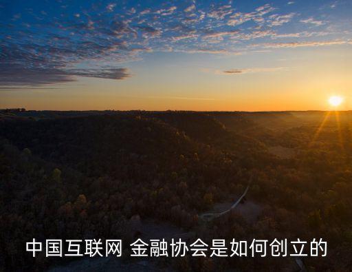 中國金融網(wǎng)絡(luò)領(lǐng)袖,網(wǎng)絡(luò)金融與中國機遇