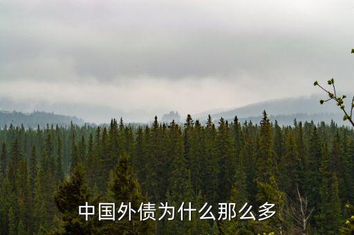 中國(guó)外債為什么那么多