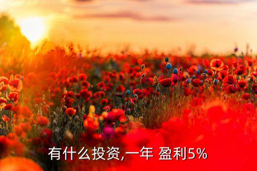 有什么投資,一年 盈利5%