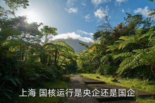 上海 國(guó)核運(yùn)行是央企還是國(guó)企