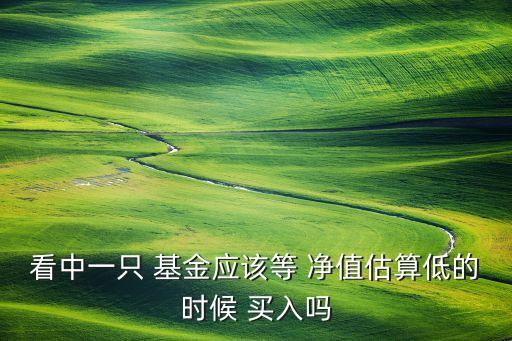 看中一只 基金應該等 凈值估算低的時候 買入嗎