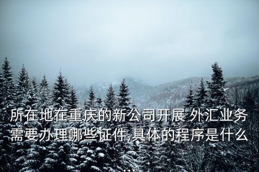非銀行金融機構(gòu)外匯資本賬戶