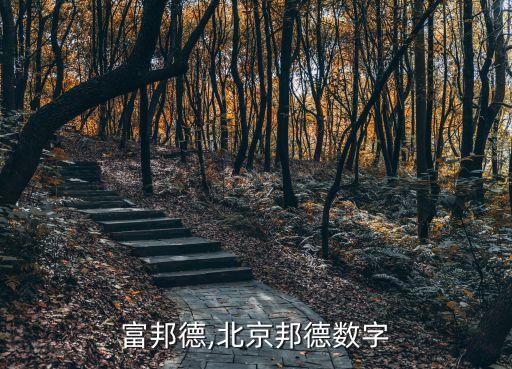 北京富邦德,北京邦德數(shù)字