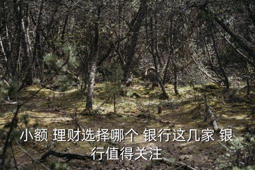 小額 理財(cái)選擇哪個(gè) 銀行這幾家 銀行值得關(guān)注