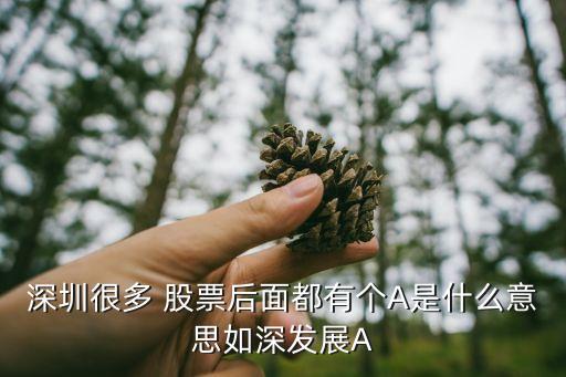 深圳很多 股票后面都有個A是什么意思如深發(fā)展A