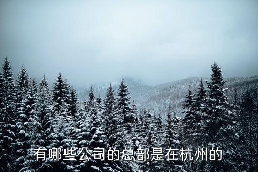 有哪些公司的總部是在杭州的