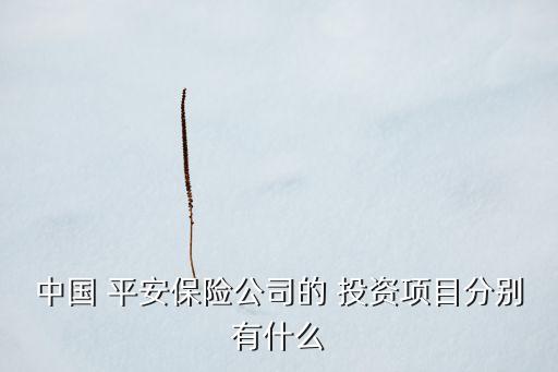 平安精選權(quán)益投資賬戶(hù),平安發(fā)展投資賬戶(hù)2023價(jià)格