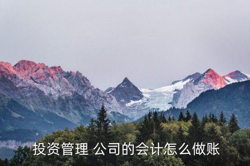 金融投資公司財務(wù),投資公司的財務(wù)有風(fēng)險嗎