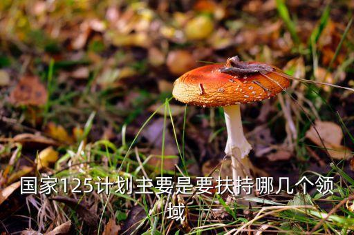 國家125計(jì)劃主要是要扶持哪幾個(gè)領(lǐng)域