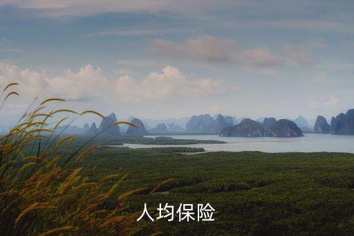 中國人均保險(xiǎn)