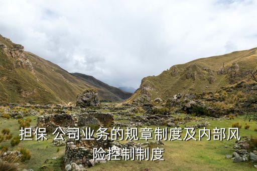 擔(dān)保公司初審意見