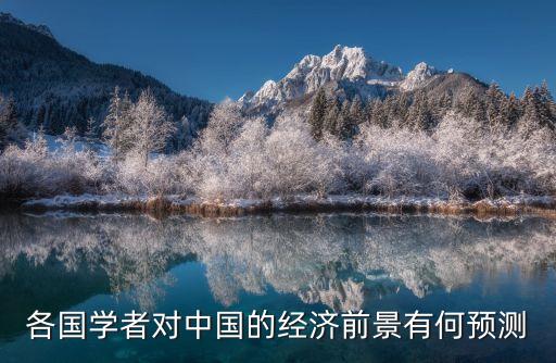 各國學(xué)者對(duì)中國的經(jīng)濟(jì)前景有何預(yù)測