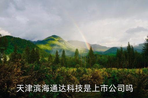  天津?yàn)I海通達(dá)科技是上市公司嗎