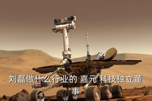 劉磊做什么行業(yè)的 嘉元 科技獨立董事