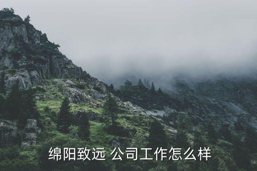  綿陽致遠(yuǎn) 公司工作怎么樣