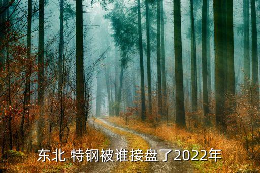 東北 特鋼被誰接盤了2022年