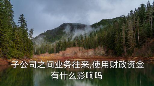  子公司之間業(yè)務(wù)往來(lái),使用財(cái)政資金有什么影響嗎
