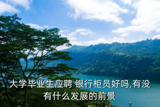 大學(xué)畢業(yè)生應(yīng)聘 銀行柜員好嗎,有沒有什么發(fā)展的前景