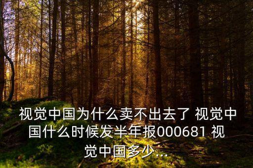 視覺中國為什么賣不出去了 視覺中國什么時(shí)候發(fā)半年報(bào)000681 視覺中國多少...
