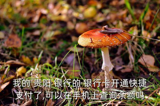 我的 貴陽 銀行的 銀行卡開通快捷支付了,可以在手機(jī)上查詢余額嗎