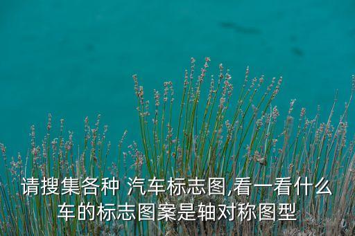 請搜集各種 汽車標(biāo)志圖,看一看什么車的標(biāo)志圖案是軸對稱圖型