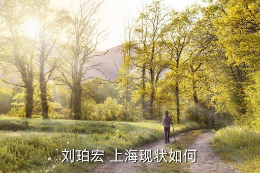 劉珀宏 上海現狀如何