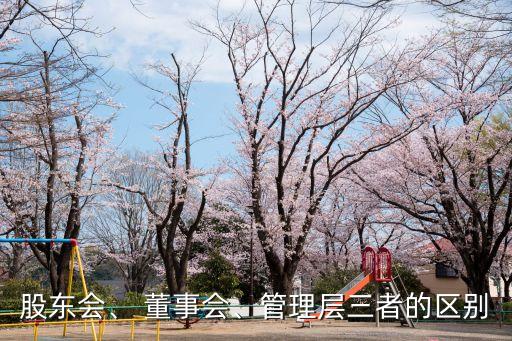 董事會(huì)是股份公司的民主管理機(jī)構(gòu),股份公司的最高權(quán)力機(jī)構(gòu)是董事會(huì)