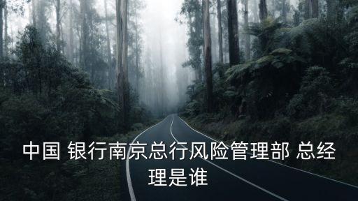 中國 銀行南京總行風(fēng)險(xiǎn)管理部 總經(jīng)理是誰