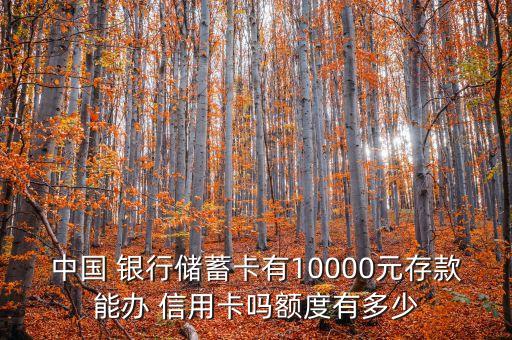 中國 銀行儲蓄卡有10000元存款能辦 信用卡嗎額度有多少