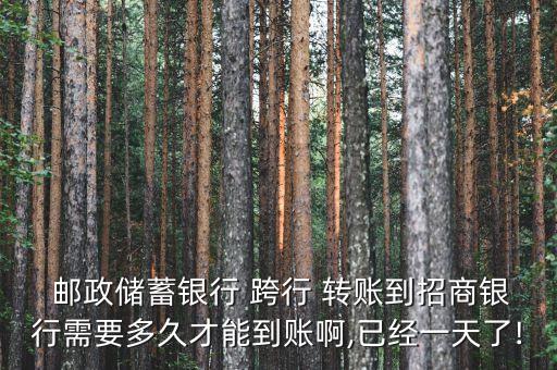  郵政儲蓄銀行 跨行 轉賬到招商銀行需要多久才能到賬啊,已經(jīng)一天了!