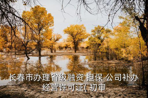 長春市辦理省級融資 擔(dān)保 公司補(bǔ)辦經(jīng)營許可證( 初審