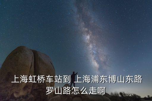  上海虹橋車(chē)站到 上海浦東博山東路羅山路怎么走啊