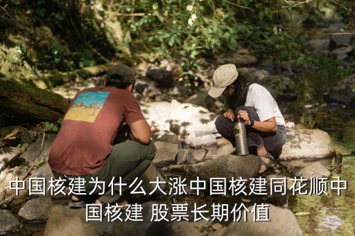 核材料的股票,永興材料股票