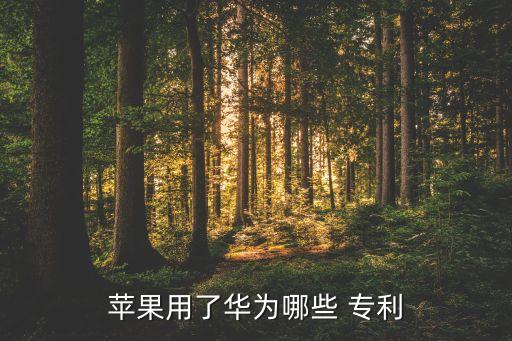蘋果用了華為哪些 專利