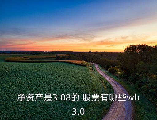 凈資產(chǎn)是3.08的 股票有哪些wb3.0