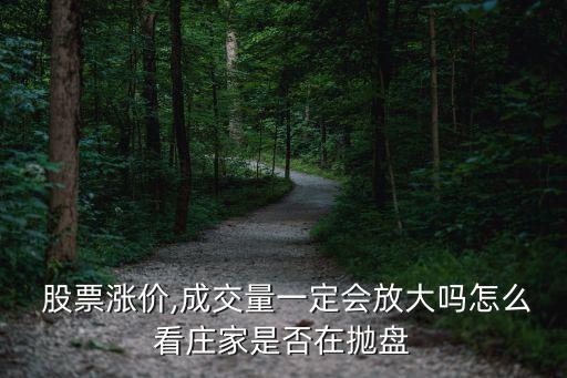  股票漲價(jià),成交量一定會(huì)放大嗎怎么看莊家是否在拋盤