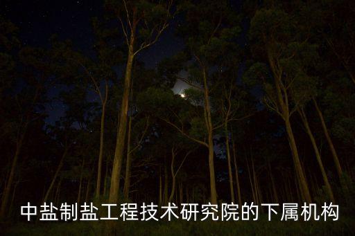  中鹽制鹽工程技術研究院的下屬機構