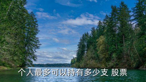 個(gè)人最多可以持有多少支 股票