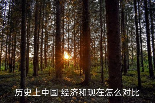 歷史上中國 經濟和現(xiàn)在怎么對比