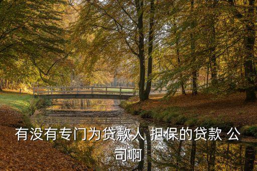 樂清市擔(dān)保公司,擔(dān)保公司需要什么資質(zhì)