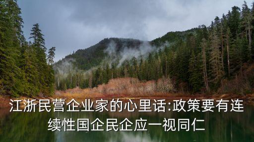 江浙民營(yíng)企業(yè)家的心里話:政策要有連續(xù)性國企民企應(yīng)一視同仁