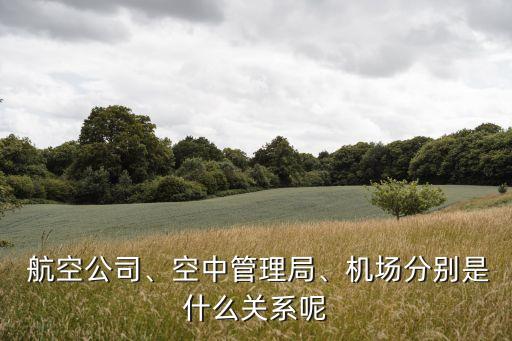  航空公司、空中管理局、機(jī)場分別是什么關(guān)系呢