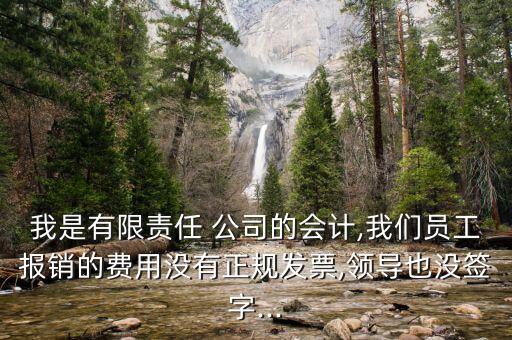 我是有限責(zé)任 公司的會(huì)計(jì),我們員工報(bào)銷(xiāo)的費(fèi)用沒(méi)有正規(guī)發(fā)票,領(lǐng)導(dǎo)也沒(méi)簽字...