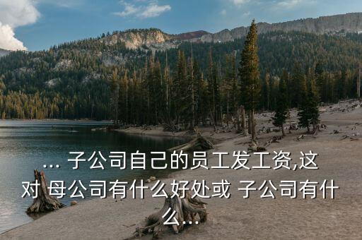 ... 子公司自己的員工發(fā)工資,這對(duì) 母公司有什么好處或 子公司有什么...