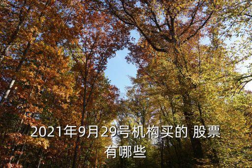 2021年9月29號(hào)機(jī)構(gòu)買(mǎi)的 股票有哪些