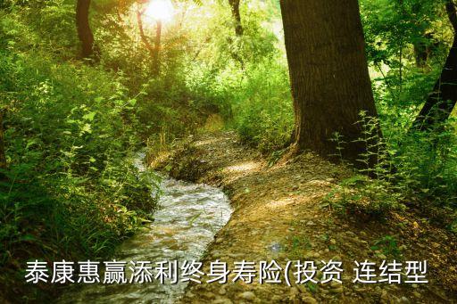 泰康惠贏添利終身壽險(xiǎn)(投資 連結(jié)型
