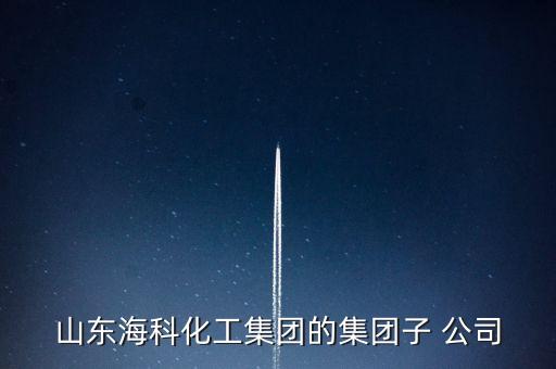 山東海科化工集團的集團子 公司